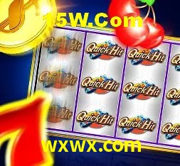 Login Seguro wxwx.com